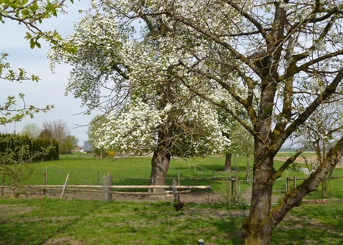 Haus Lissi Bad Füssing