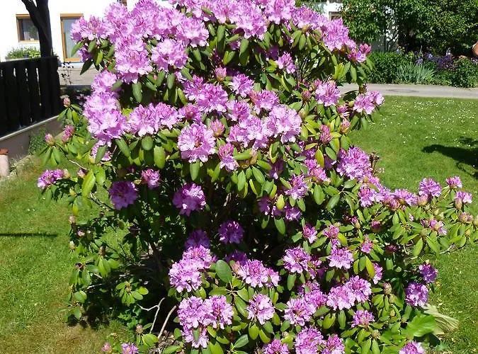 Haus Lissi 3* Bad Füssing