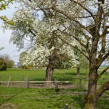 Haus Lissi Bad Füssing