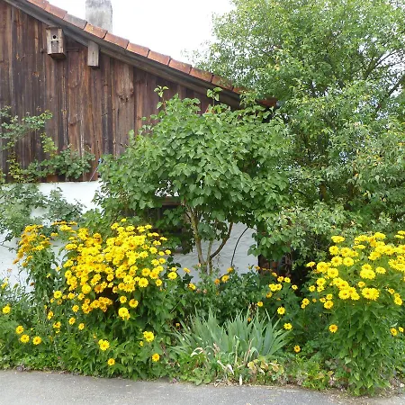 Penzion Haus Lissi 3*