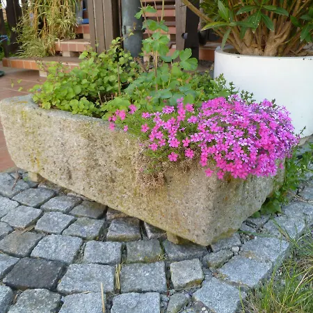 Haus Lissi Guest house Bad Fussing